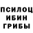 Псилоцибиновые грибы прущие грибы Playground dolls