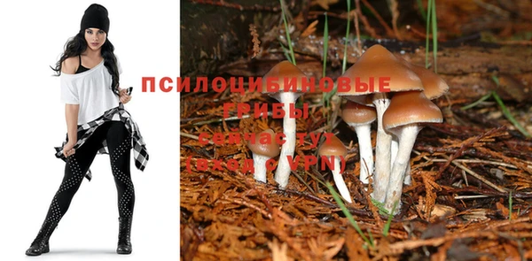 героин Новозыбков