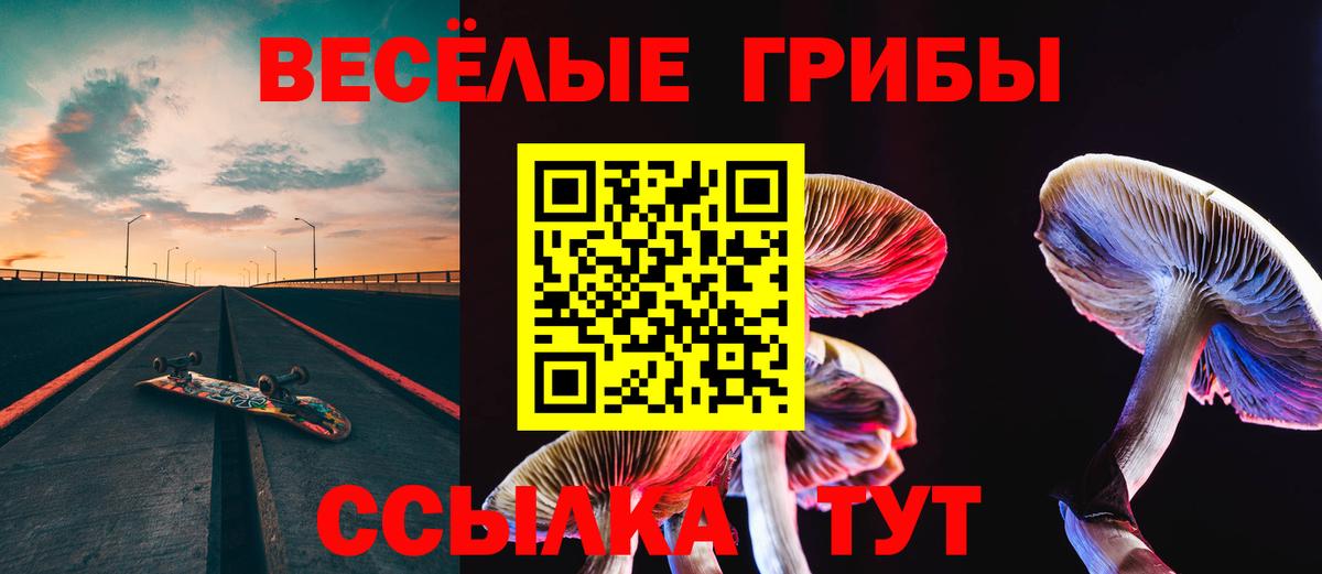 Галлюциногенные грибы прущие грибы Ялуторовск